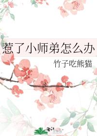 惹了小师弟怎么办